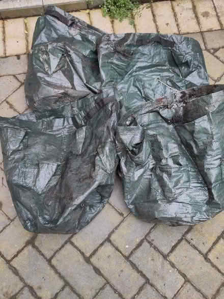 Photo of free Strawberry grow bags (Kings Heath B14) #1