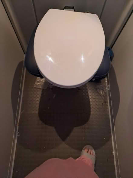 Photo of free toilet seat (HAO near Wembley health centre) #1