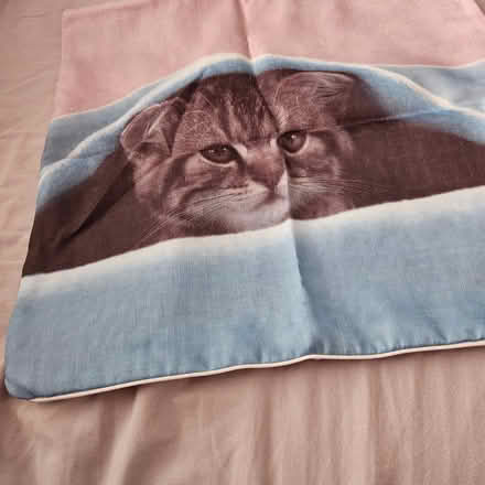 Photo of free Cushion covers (kitten design) (Willenhall WV13) #3