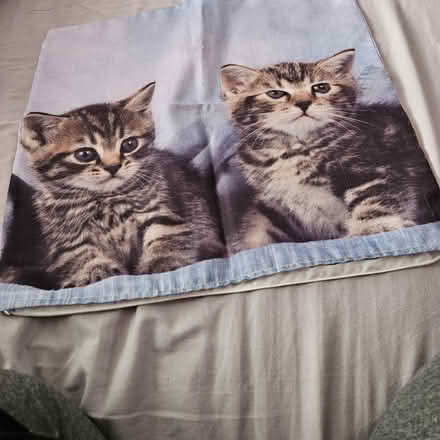 Photo of free Cushion covers (kitten design) (Willenhall WV13) #2
