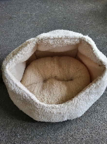 Photo of free Cat bed (LS26) #1