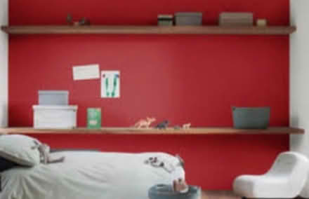 Photo of free Paint / Emulsion vinyl silk chestnut red (GU11) #3