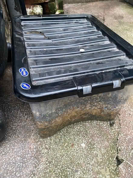 Photo of free Fish tank gravel (Manchester M9) #2