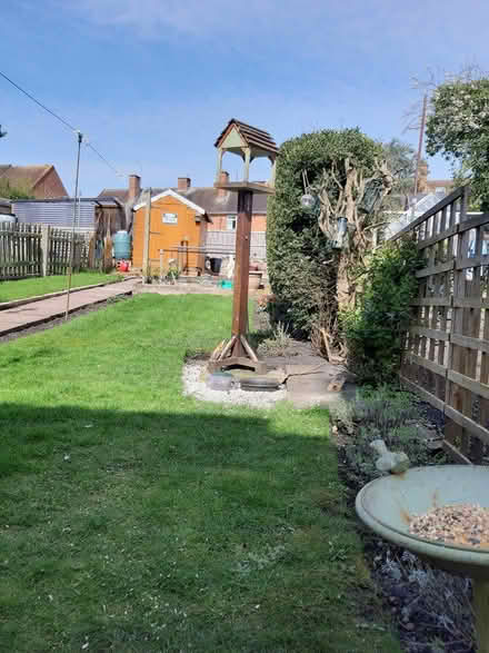 Photo of free Bird Feeder (Rothley) #1