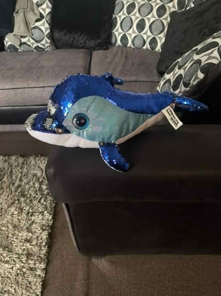 Photo of free Dolphin (Carrick Knowe EH12) #1