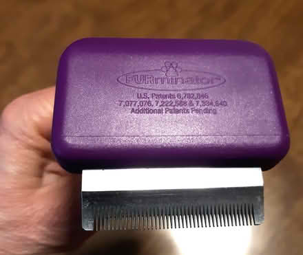 Photo of free Pet (dog) grooming tools (Cambridgeport, near Dana Park) #2