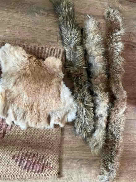 Photo of free Fur (Risinghurst OX3) #1