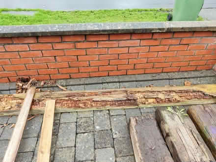 Photo of free Sleepers (Tallaght) #2
