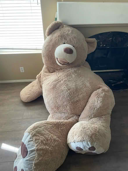Photo of free Big Costco bear and bed (RSM) #4