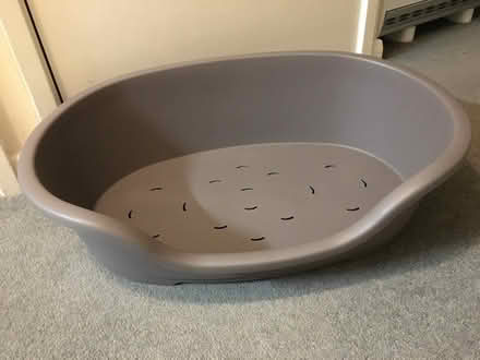 Photo of free Dog Bed Medium Size (Warminster BA12) #1