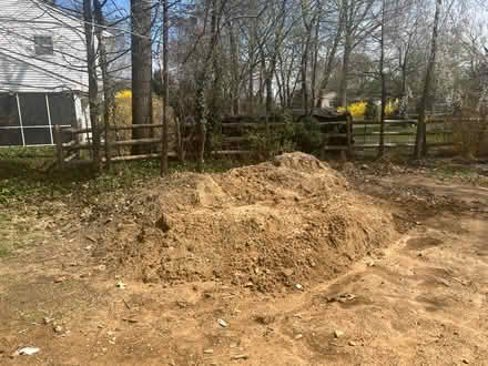 Photo of free dirt (19067) #1