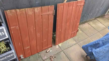 Photo of free Shed door (Canning Town E13) #1