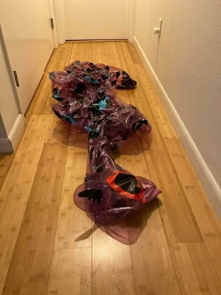 Photo of free Purple Leopard pool float (Emeryville) #1