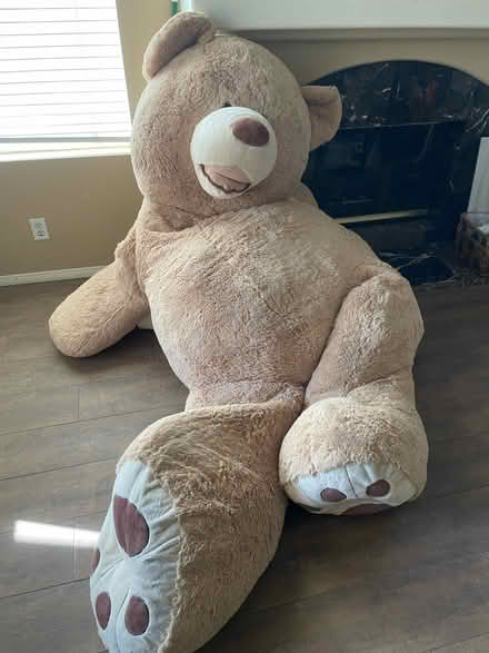 Photo of free Big Costco bear and bed (RSM) #2