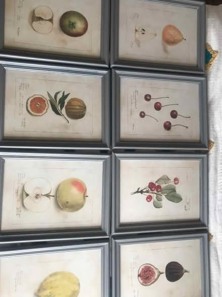 Photo of free Several artworks (Bampton EX16) #3