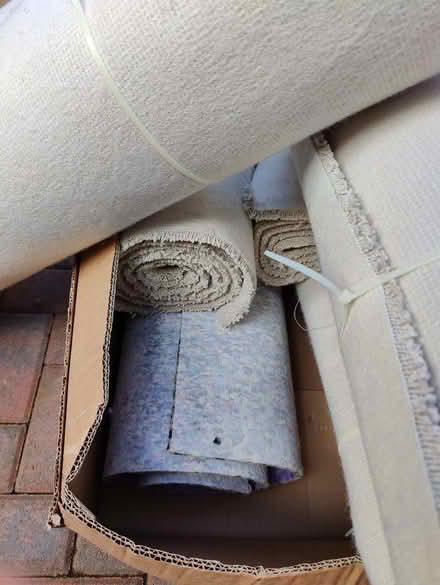Photo of free Cream carpet offcuts and underlay (Wilmslow SK9) #3