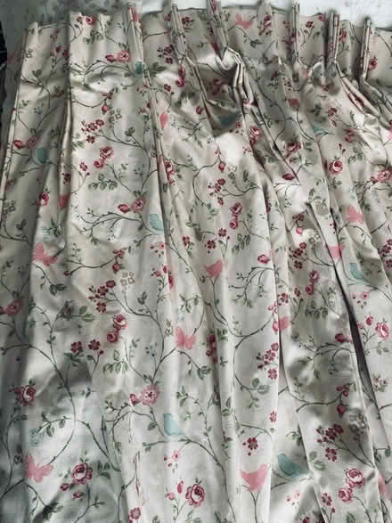 Photo of free Curtains (TN6 - Crowborough) #3