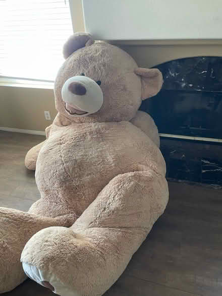 Photo of free Big Costco bear and bed (RSM) #3