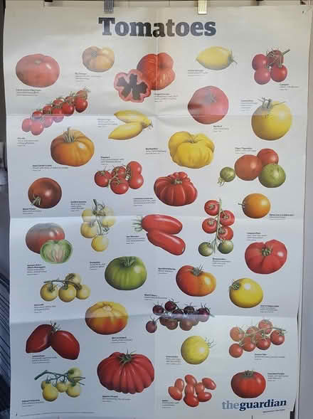 Photo of free Wall charts (SE5 Camberwell) #2
