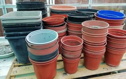 Photo of free Plant pots (Tiverton EX16) #1