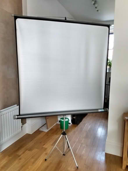 Photo of free Projector screen (Manor Park KT19) #1