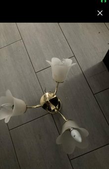 Photo of free Centre ceiling light (Hednesford WS12) #1
