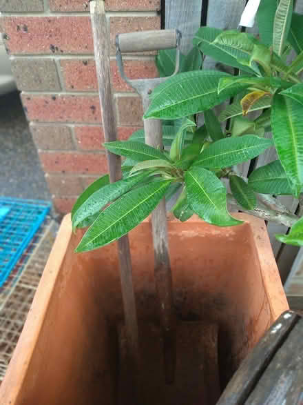 Photo of free Tools ect (Cleveland QLD) #3