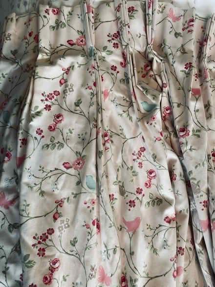 Photo of free Curtains (TN6 - Crowborough) #1