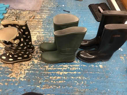 Photo of free Wellies - assortment (Ifold RH14) #1
