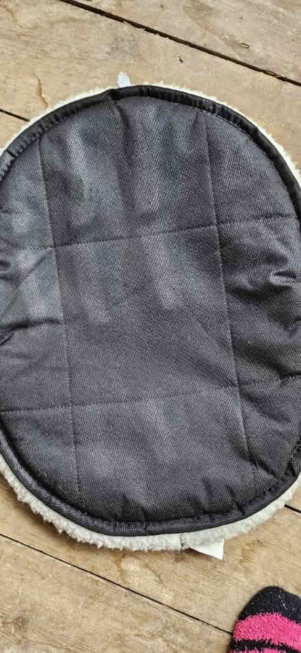 Photo of free Cat bed and Adult travel pillow (EN1) #3