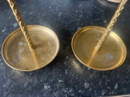 Photo of free Gold trees (Surrey docks farm) #2