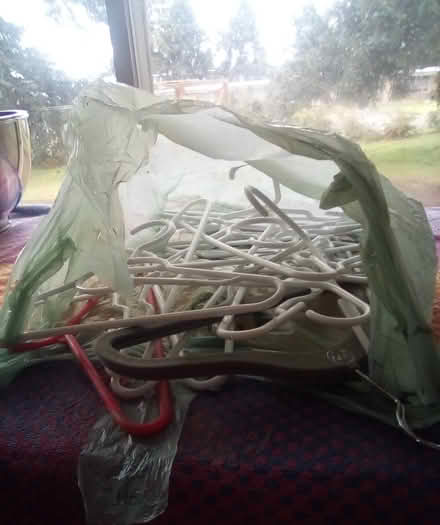 Photo of free Children's hangers (Lakewood, near St Clares) #1