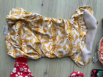 Photo of free Totsbots cloth nappies (BR1) #3