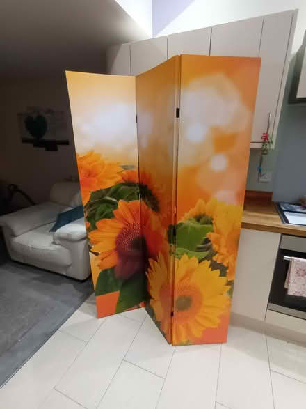 Photo of free In Door Screens (AL4) #1
