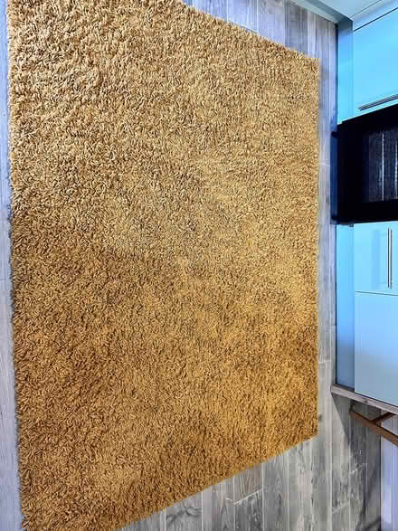 Photo of free rug (Burham Rochester) #1