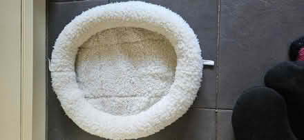 Photo of free Cat bed and Adult travel pillow (EN1) #1
