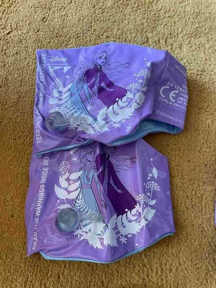 Photo of free Frozen Arm bands (Oldfield Park) #3