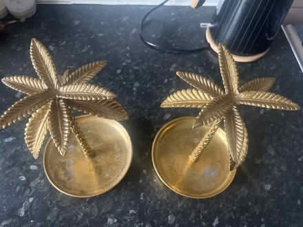 Photo of free Gold trees (Surrey docks farm) #1