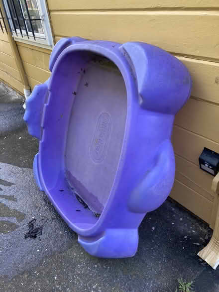 Photo of free Kiddy wading pool (North Oakland near Emeryville) #3