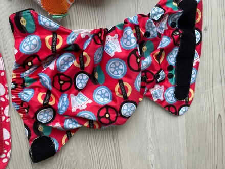 Photo of free Totsbots cloth nappies (BR1) #2