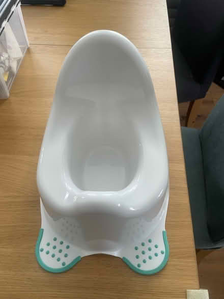 Photo of free Potty (Braintree CM7 2) #1