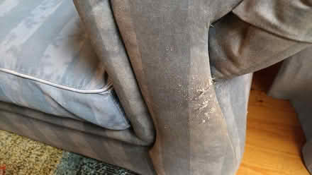 Photo of free Sofa (HR1 st james hereford) #3