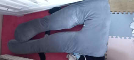 Photo of free Large pregnancy pillow (PO19) #1
