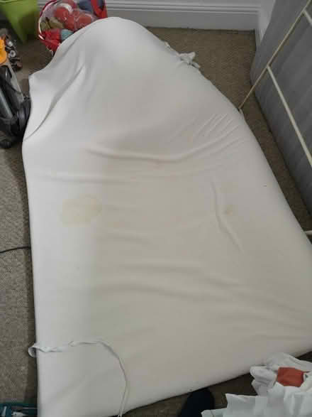 Photo of free Double bed-sized foam topper (Lower Walkley S6) #1