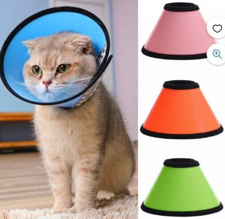 Photo of Cat cone (Soft/Hard)/Veterinary/Elizabethan/Buster collar (Central Watford WD17) #1