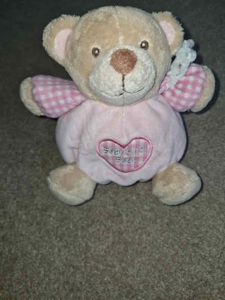 Photo of free Small teddy bear (Kingsway) #1