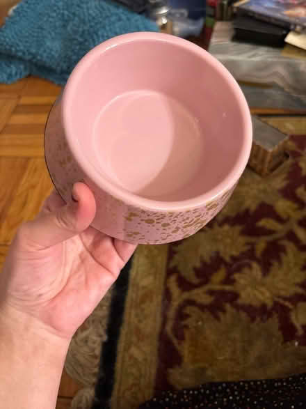 Photo of free Pet food bowl (Alexandria) #1