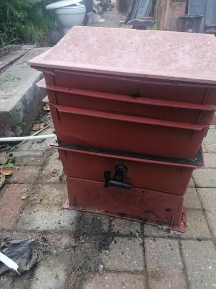 Photo of free Wormey (Bramley LS13) #1