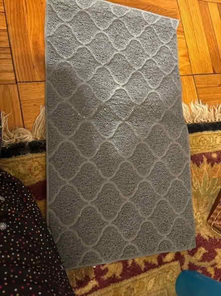 Photo of free Litter mat (Alexandria) #1