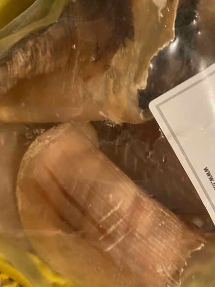 Photo of free Empty Hooves (For dogs to gnaw on) (Penycae, LL14) #2